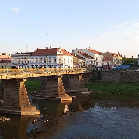 Затишна Двокімнатна Квартира В Самому Серці Ужгорода Uschhorod Exterior foto