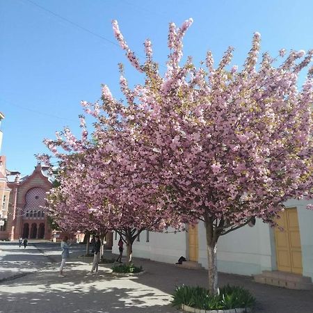 Затишна Двокімнатна Квартира В Самому Серці Ужгорода Uschhorod Exterior foto