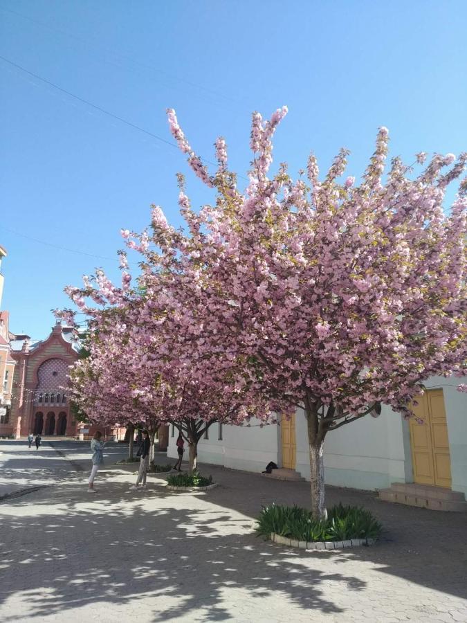 Затишна Двокімнатна Квартира В Самому Серці Ужгорода Uschhorod Exterior foto